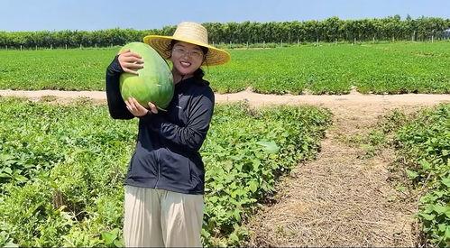 吃瓜致富小能手,揭秘小能手如何从瓜界逆袭成财富新贵