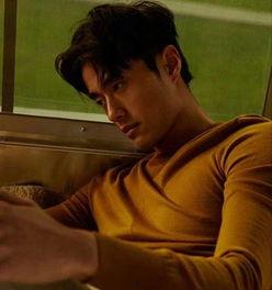 男模吃瓜日记小说,揭秘娱乐圈背后的秘密与诱惑