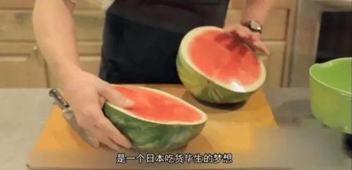 每人吃瓜,揭秘每人吃瓜背后的故事