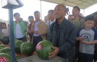 龙港吃瓜群众,吃瓜群众的欢乐时光