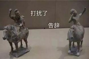 吃瓜工具箱,轻松掌握娱乐圈动态的必备神器