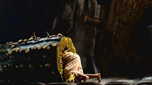 巨人老头吃臭瓜,巨人老头与奇臭瓜的奇幻之旅