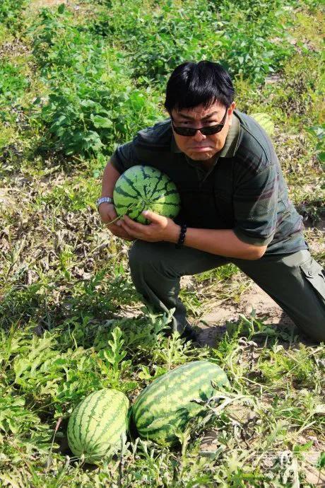 梦中偷瓜吃瓜什么预兆,揭秘梦境中的神秘预兆