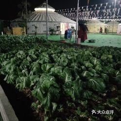 淮南吃瓜地图片,夏日田园风光一瞥