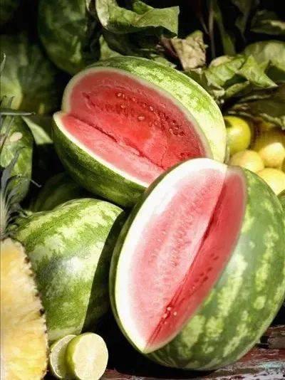 元梦动作吃瓜,揭秘虚拟世界中的瓜田乐趣