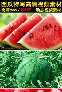 吃瓜科技视频大全,揭秘热门视频背后的科技奥秘