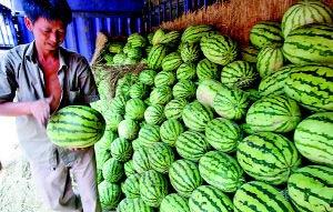 陕西人吃瓜视频