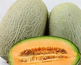 姐吃哈密瓜,姐吃哈密瓜，尽享瓜香四溢