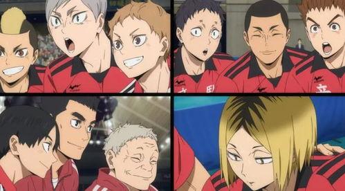 排球少年谷子吃瓜,瓜田里的青春传奇