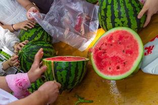 德国视频吃瓜,一场别开生面的视频吃瓜盛宴