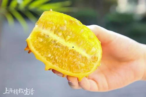 蛋黄吃瓜,一场味蕾的盛宴