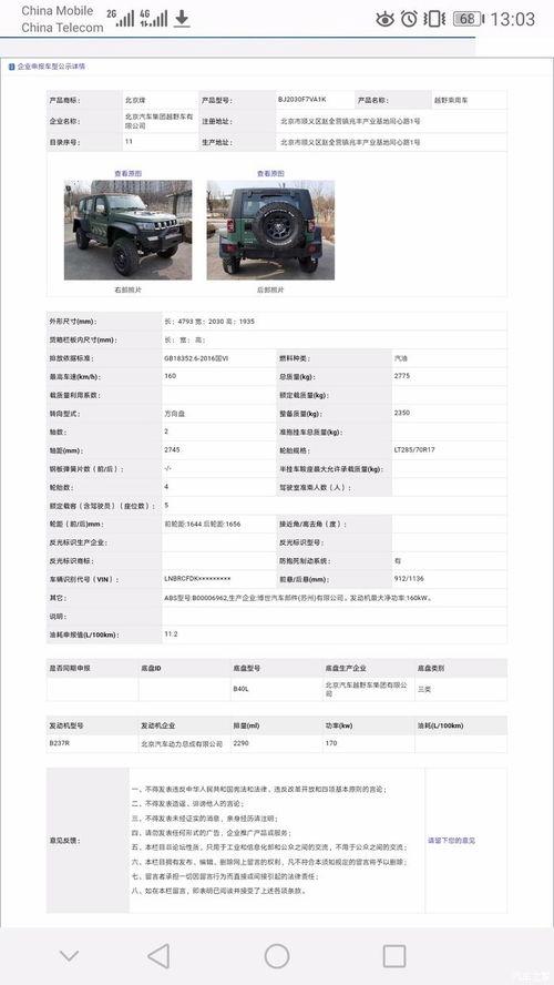 雨林吃瓜剧本,一场吃瓜者的冒险之旅