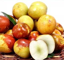 实现吃瓜吃冬枣自由文案,解锁吃瓜吃冬枣自由之旅