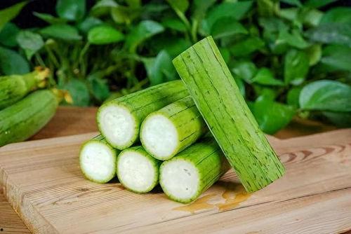 丝瓜吃瓜现场,一场别开生面的吃瓜现场