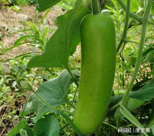 昨天晚上吃瓜,一场意想不到的娱乐圈风云