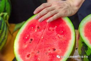 学校吃瓜群名称,揭秘“吃瓜群”背后的校园生活点滴