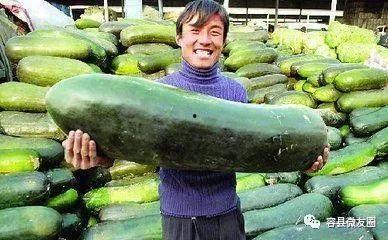 吃瓜50,一场关于美食与生活的深度对话