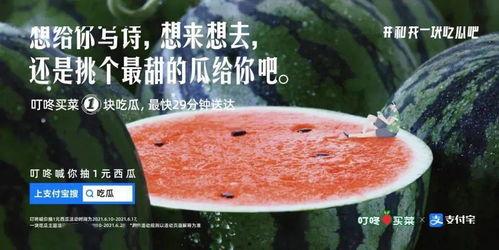 吃烤吃瓜的文案短句,尽享夏日美味时光