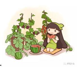 不用花钱买瓜吃