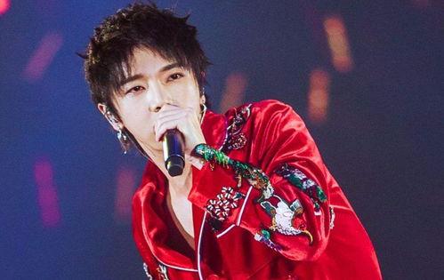 华晨宇吃瓜歌手,从吃瓜歌手到音乐巨匠的蜕变之路