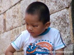 无敌帅哥吃瓜视频,揭秘娱乐圈幕后故事