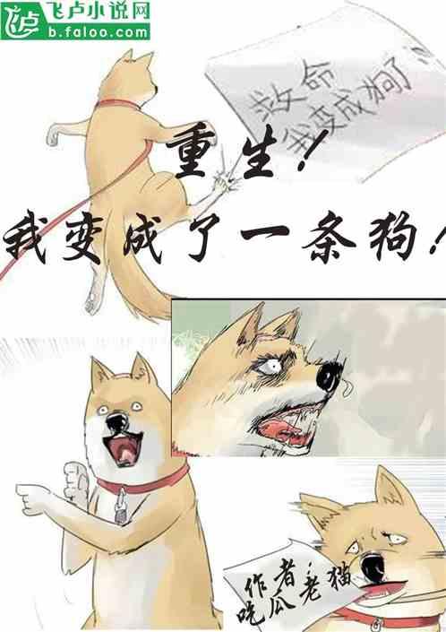 尽情吃瓜小说免费阅读,免费阅读尽享悬疑盛宴