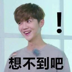 鹿晗吃瓜和记者,记者揭秘幕后真相