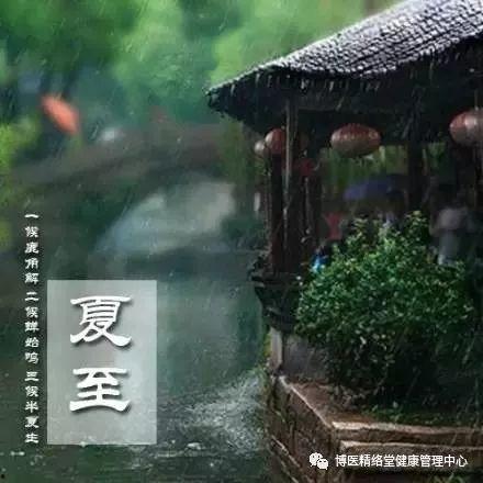 烟雨江南吃瓜酱